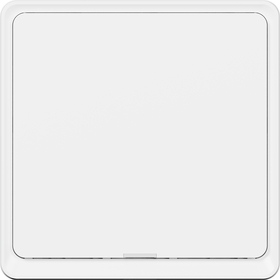 Smart Switch TESLA