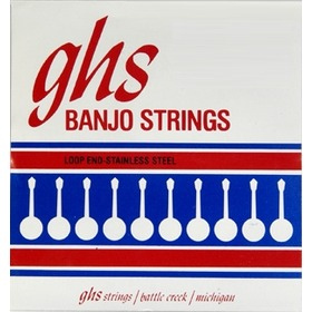 220 SET, TEN BANJ, ST STRL, LT G STRUNY