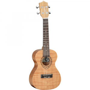 TWT6 UKULELE CONCERT TANGLEWOOD