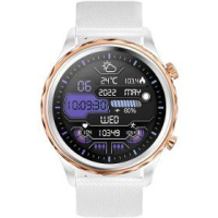 Queen HR + gold smart watch CARNEO