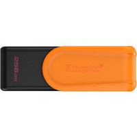 USB FD DTXS/256GB USB 3.2 KINGSTON