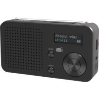 TOP100 přenosné DAB+/FM rádio TELESTAR