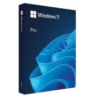 Windows Pro 11 64-bit CZ USB MICROSOFT